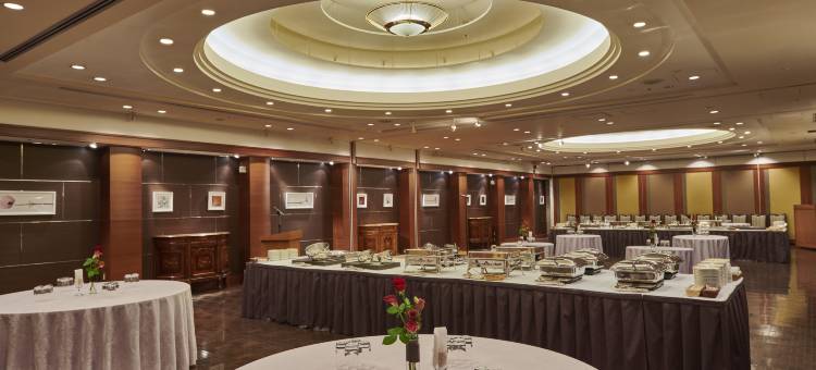 广岛河畔皇家公园酒店(The Royal Park Hotel Hiroshima Riverside)图片