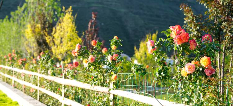 花筑·遮阳山天华民宿图片