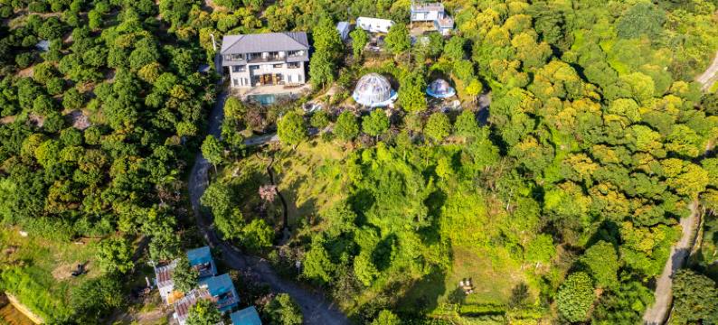 广州从化华易居精品民宿图片