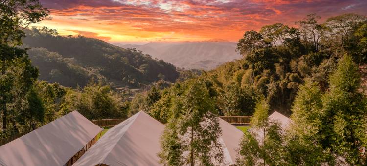 山上种树牛樟森林休闲农场图片