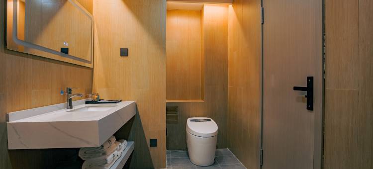 临河大酒店(巴彦淖尔高铁站维多利摩尔城店)图片