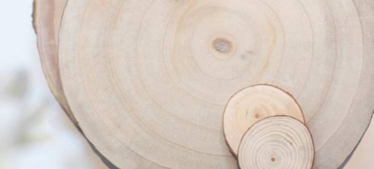 如家酒店·neo(惠州西湖麦地路店)图片