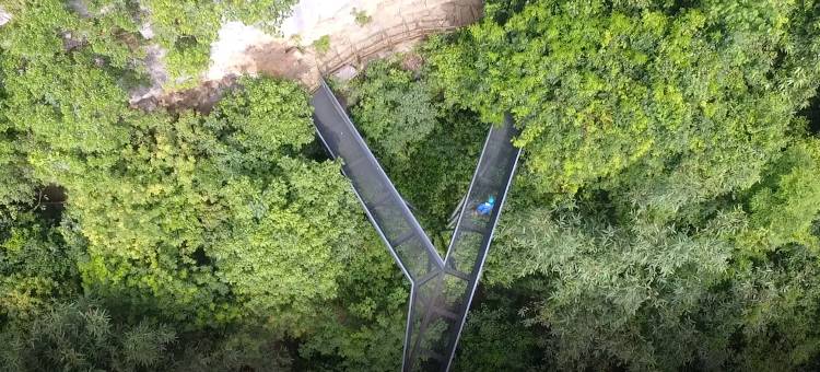 发现弄岗艺术民宿图片