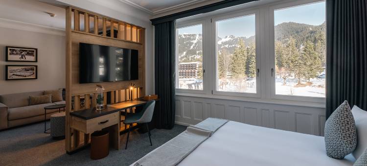 威拉尔-苏-罗伦斯宫殿酒店(Villars Palace)图片