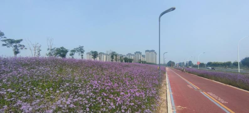 庆辉民宿(瑞欣苑店)图片