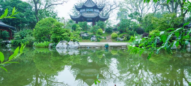 嘉清国际酒店(大余汽车站牡丹亭店)图片