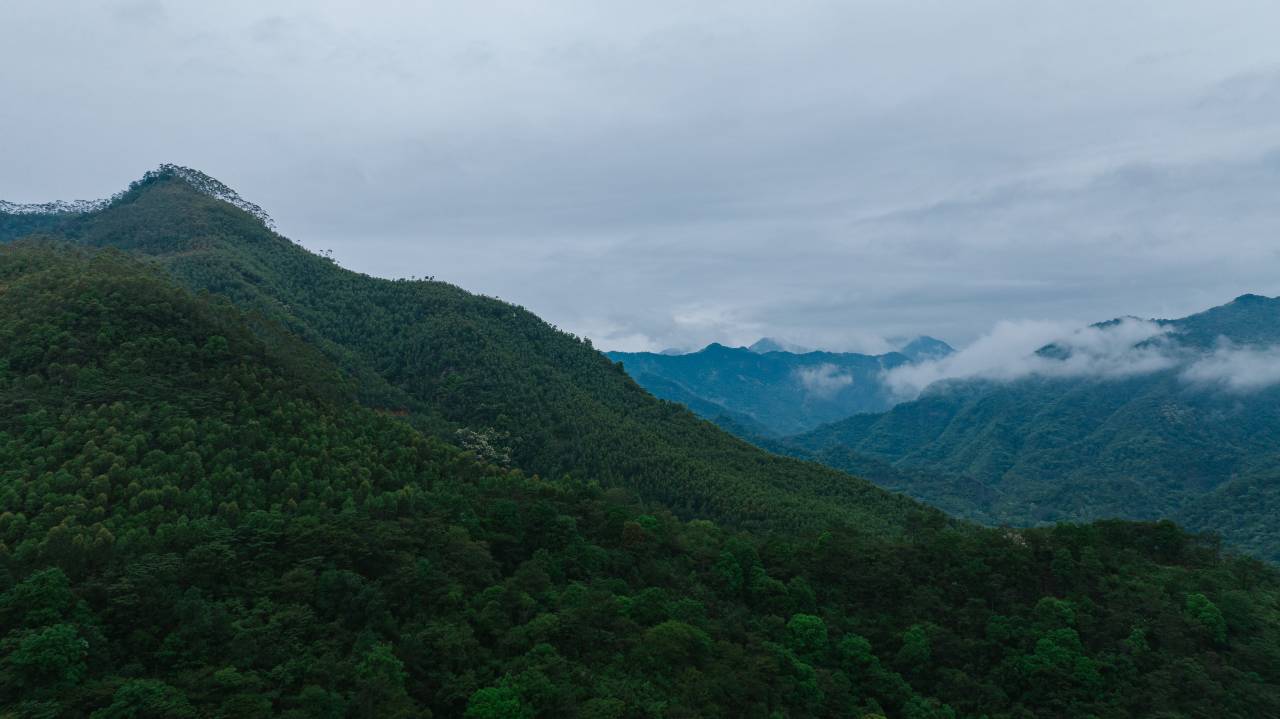 河源春沐源小镇·蓝葡萄酒店图片