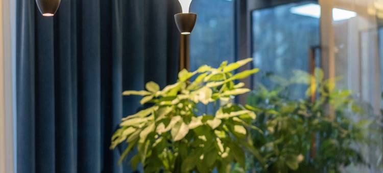 漫庭酒店(乌鲁木齐地窝堡国际机场德港万达店)图片