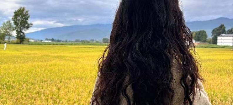 沙溪古镇稻乡居民宿图片