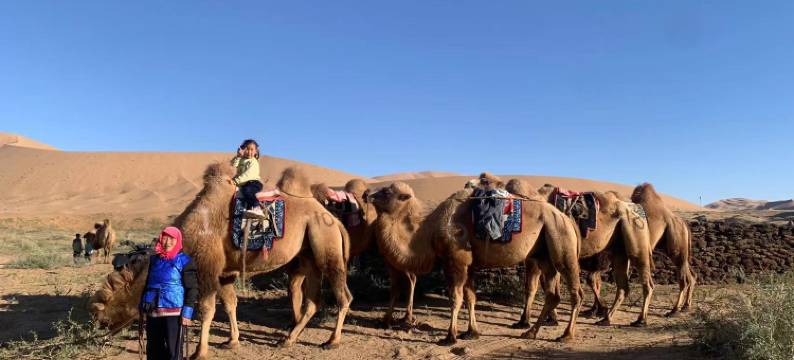 巴丹湖牧家游民宿图片