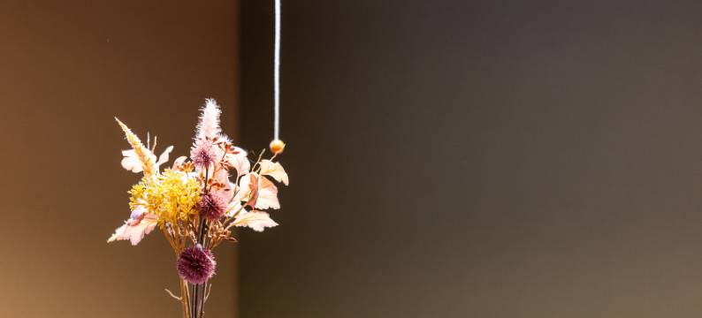 「无时・岚」阪急岚山站步行3分钟，全新装修MUJI风1和2层出租(Muji Arashi 3 min walk to Hankyu Arashiyama - Max 5 ppl)图片