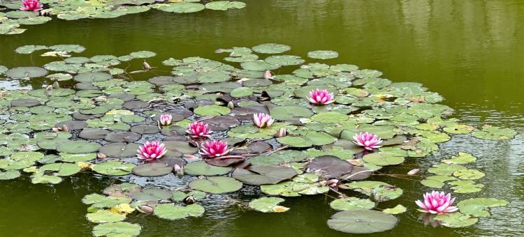 清镇引舍故里康养度假民宿(红枫湖景区店)图片