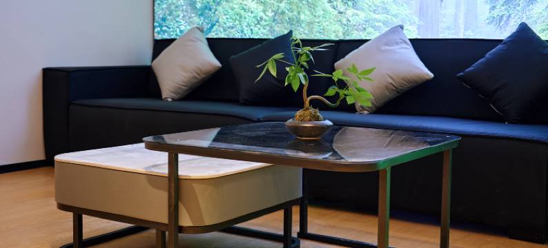 四季温泉酒店(三门峡陕州区店)图片