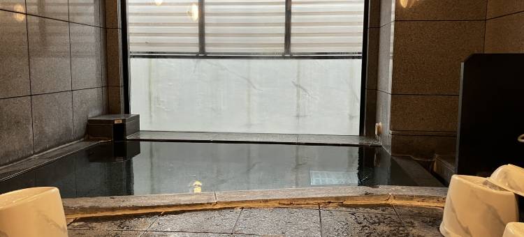 露樱酒店下馆店(Hotel Route-Inn Shimodate)图片