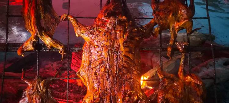 宝兴生态主题酒店图片