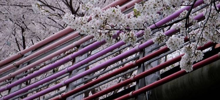 泊宁酒店(宁波东部新城会展店)图片