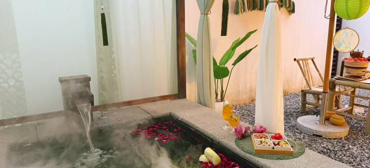 汤愈·艺墅汤泉民宿(来康郡店)图片