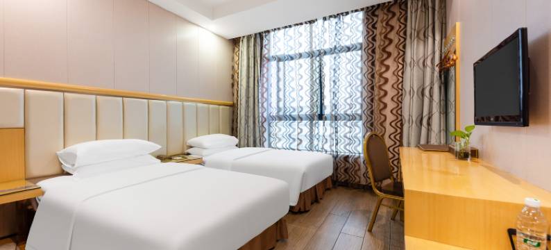 威尼斯人酒店(武汉东站店)图片