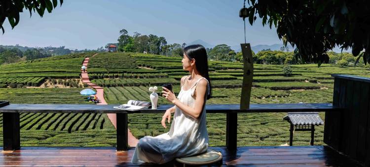 逸山海·慢享榄园茶疗私汤度假民宿图片