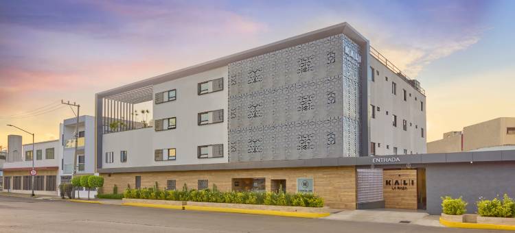 卡利拉拉萨墨西哥城(Kali La Raza Mexico City)图片