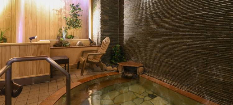 北海道札幌多美迎别馆酒店(多美迎・御宿野乃 酒店集团)(Dormy Inn Sapporo Annex Hot Spring)图片