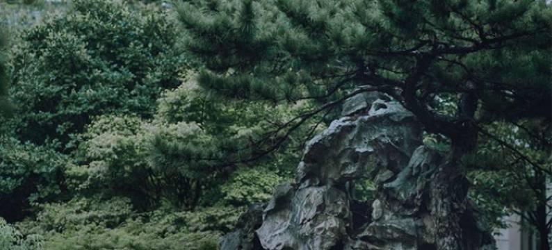 苏州静思园大酒店图片