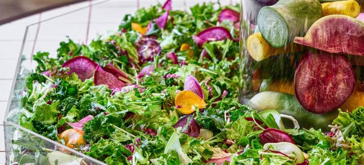 千叶ROYAL PINES酒店(ROYAL PINES HOTEL CHIBA)图片