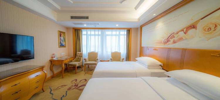 维也纳国际酒店(长沙紫薇路马栏山店)图片