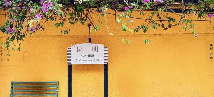 昆明君乐酒店图片