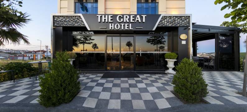 伟大的机场酒店(The Great Airport Hotel)图片