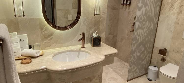 伊斯坦布尔牛蒡酒店-傲途格精选(Burdock Hotel Istanbul, Autograph Collection)图片