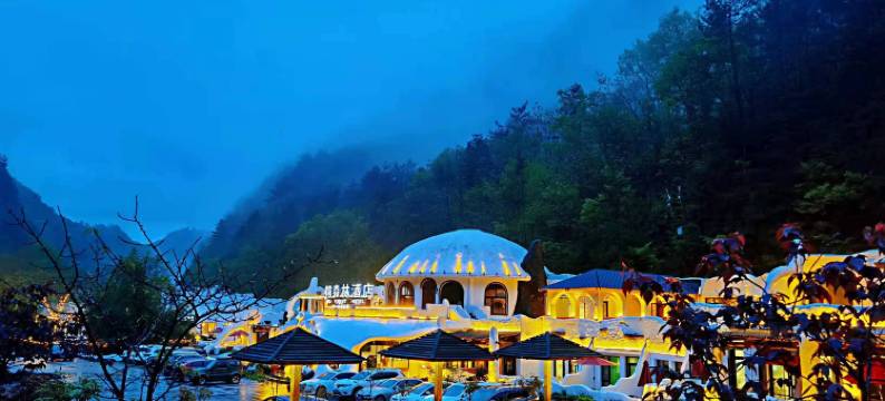佛坪熊猫森林酒店图片