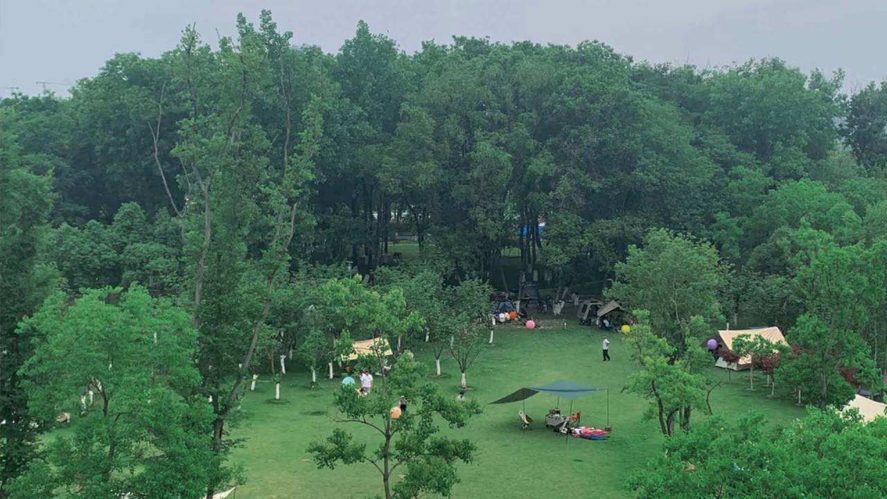 长沙高铁南站会展诺富特酒店图片