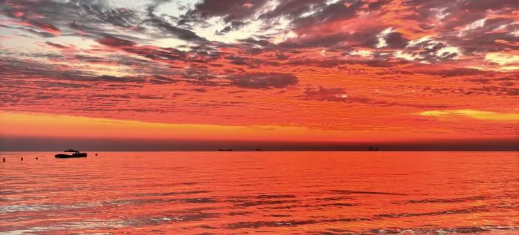 梧桐悦居酒店(烟台大学万象汇店)图片