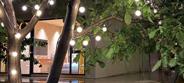 中卫漠野集民宿图片