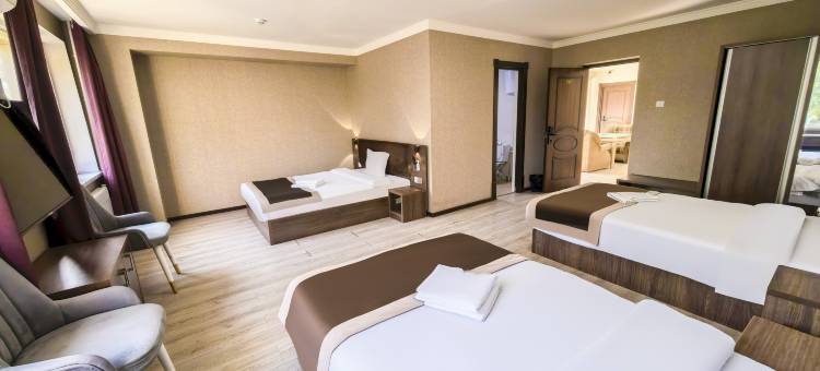 万好·中亚酒店(塔什干国际机场华人酒店)(Central Asia Hotel)图片