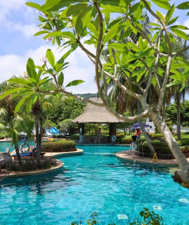 8D7N • Sanya Half-Board Tour: Dadonghai + Luhuitou + Yalong Bay Tropical Paradise Forest Park: 1-Day Group Tour & Multi-Day Free Exploration with Tour Guide Service