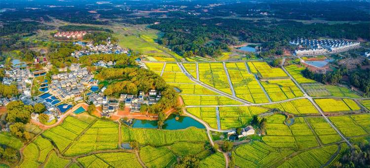 吉安花开有时民宿(钓源古村十里芳菲店)图片