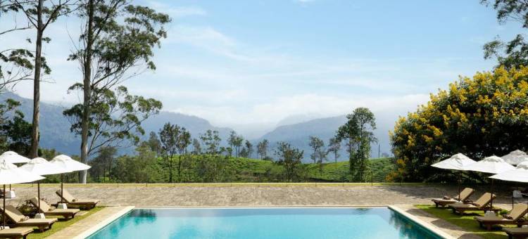 薰见小筑(The Lavender House by Reveal)图片