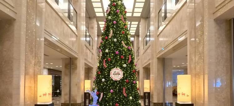 奈良日航国际酒店(Hotel Nikko Nara)图片