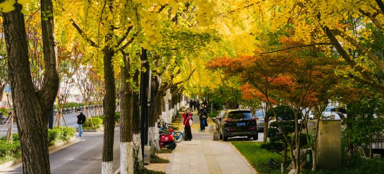 苏州中心大酒店图片