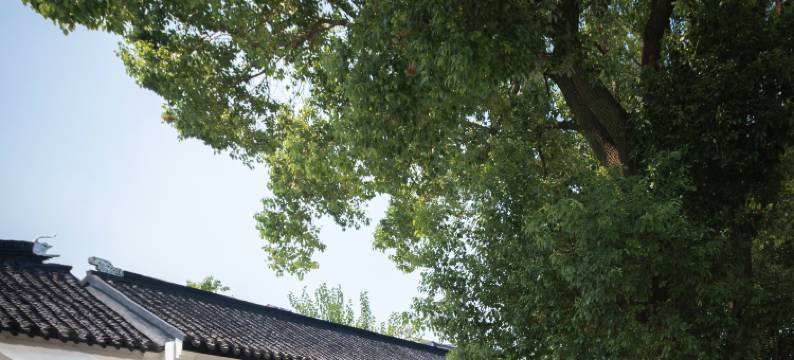 松之屿3平江路民宿图片