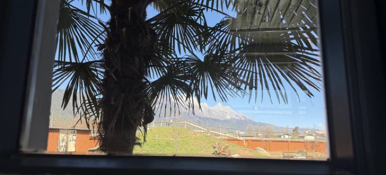 竹逸轩·星野闲庄青年旅社图片