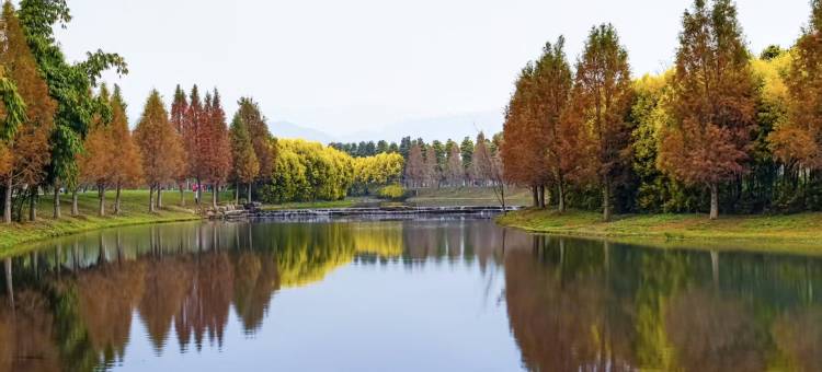 弥勒怡泉源民宿(湖泉生态园店)图片