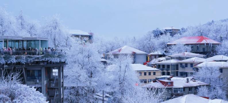 天海柏唐酒店(庐山风景名胜区牯岭街索道上站店)图片