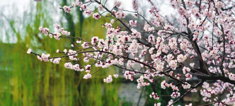 盐官潮乐之城旧城酒店图片