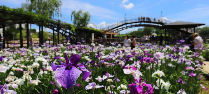 龟之井酒店 潮来(Kamenoi Hotel Itako)图片