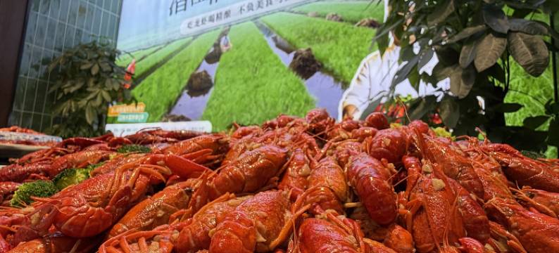 潍坊汉斯威士国际酒店(鲁台会展中心店)图片