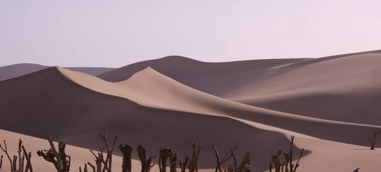 敦煌鸣沙山野奢万人星空营地(鸣沙山月牙泉景区店)图片