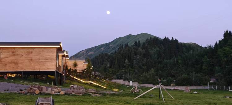 尼勒克蜂巢印象民宿图片